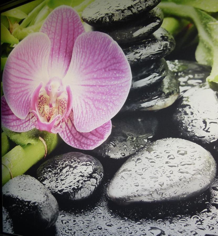Boutique Hotel Bel Sito Wellness & Private Spa Bardolino Bagian luar foto